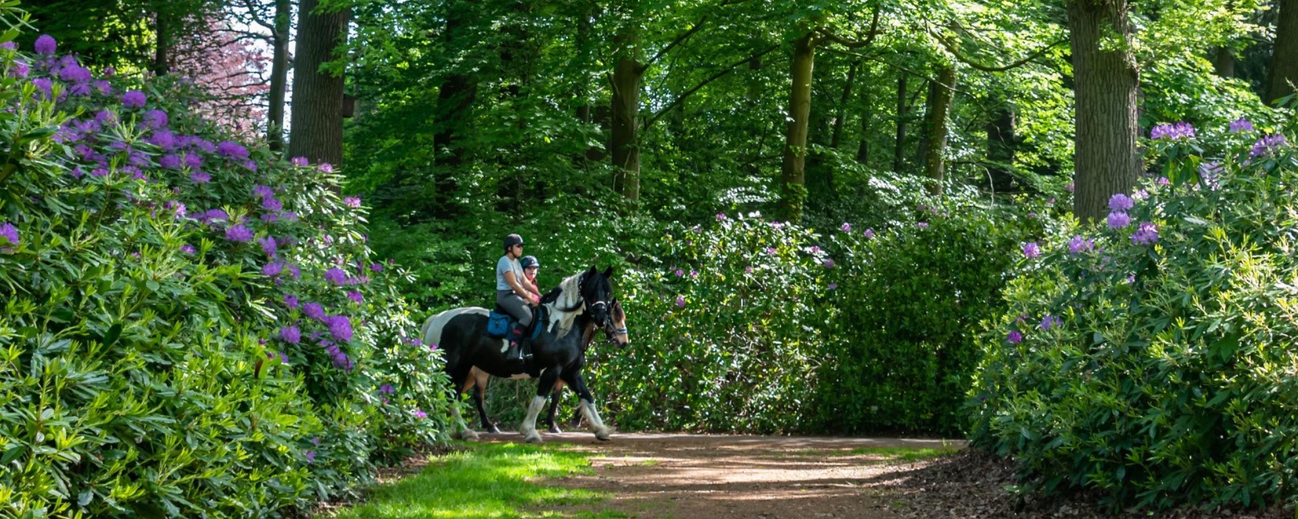 Twee ruiters in de kasteeltuin.